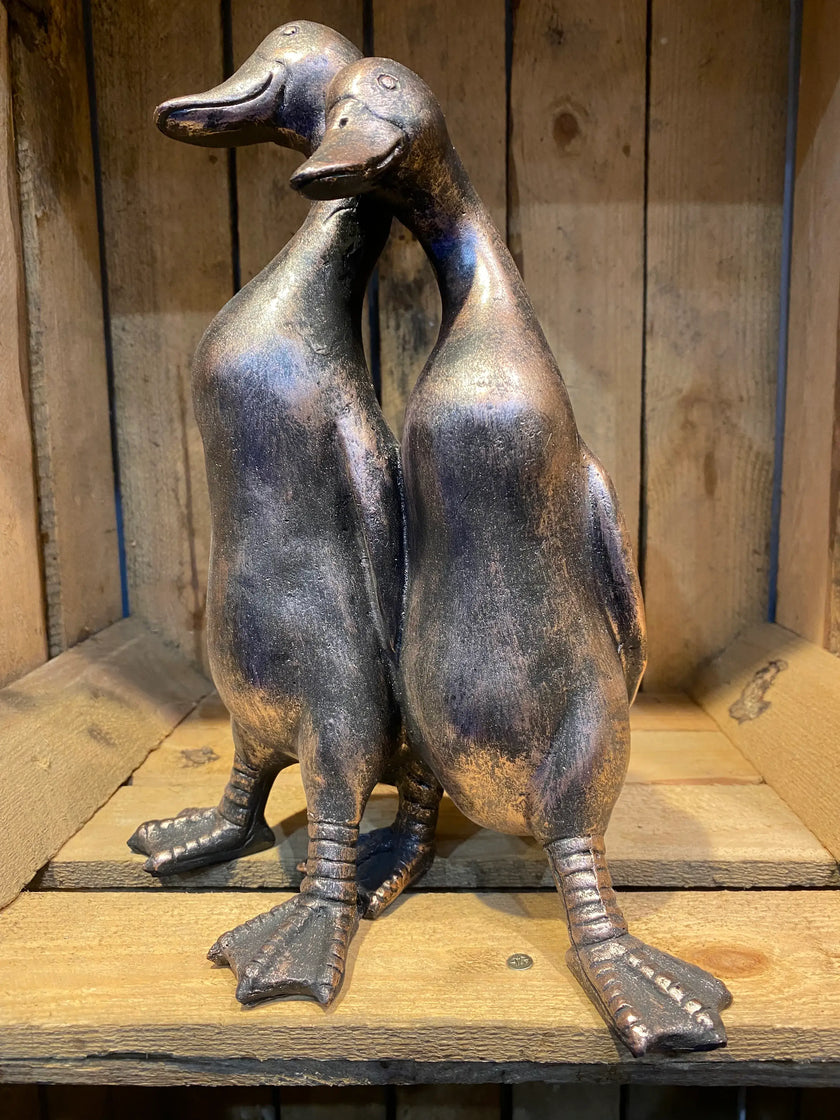 Two Ducks