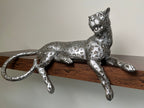 Silver Majesty Leopard