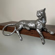 Silver Majesty Leopard