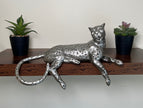 Silver Majesty Leopard