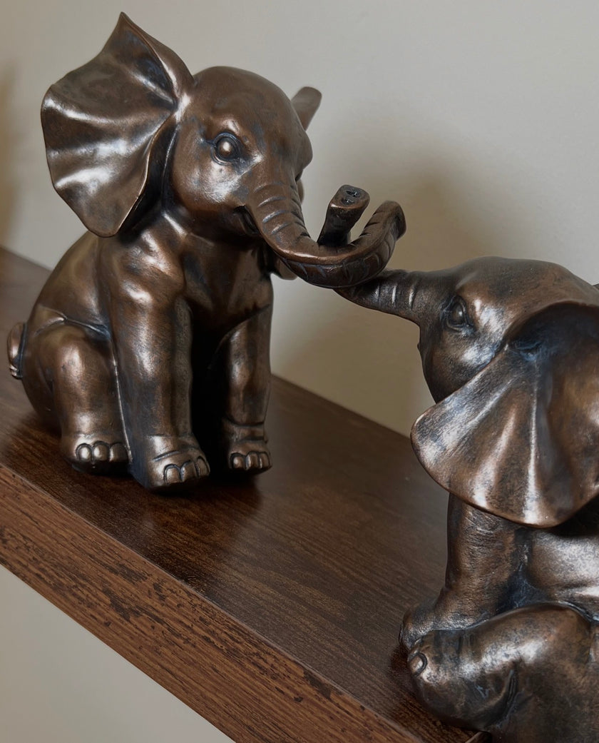 Helping Elephants