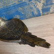 Antique Gold Parrot Dish